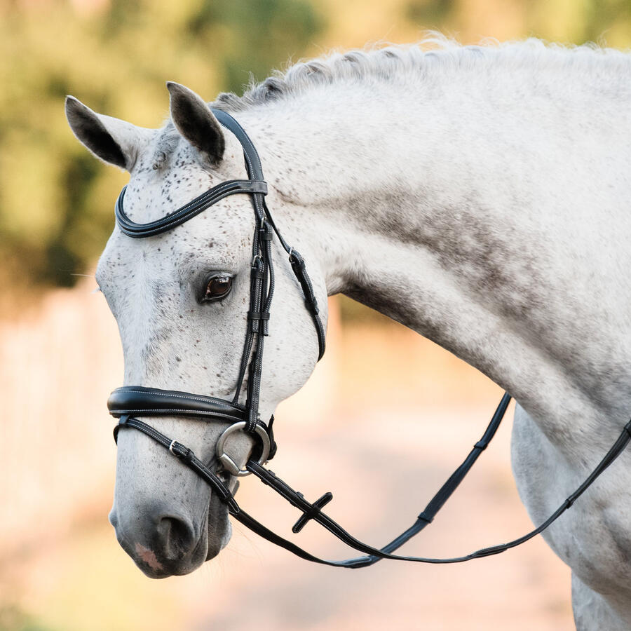 CLASSIC SNAFFLE BRIDLE