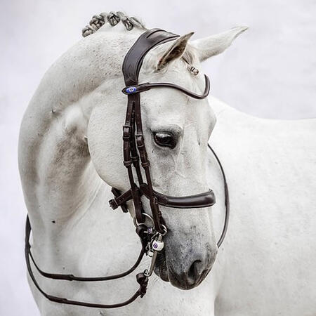 MICKLEM DOUBLE BRIDLE